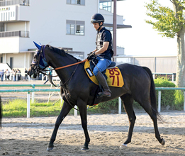 【京成杯ＡＨ・三戸の特注馬】ヴァルキリーバースは前走大敗からの巻き返しへ　好走舞台で重賞初タイトルを狙う