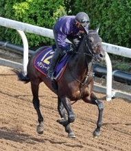 【注目馬動向】今年の天皇賞・春を制したヘデントールはアメリカＪＣＣや京都記念を復帰戦の候補として検討