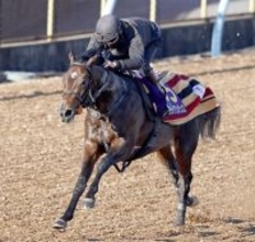 【ホープフルＳ１週前】フォルテアンジェロは１８日のラスト１ハロン最速　上原佑調教師「よく動けていた」