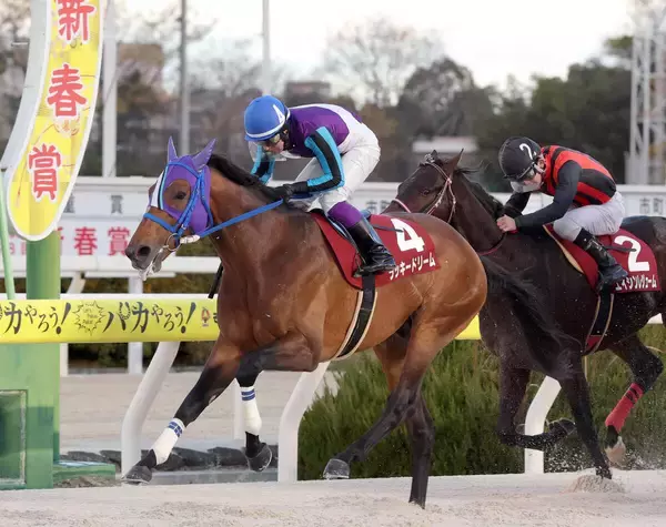 【園田競馬・新春賞】明け８歳ラッキードリームが逃げ切って復活Ｖ　ポリープ除去手術など陣営の執念が実った