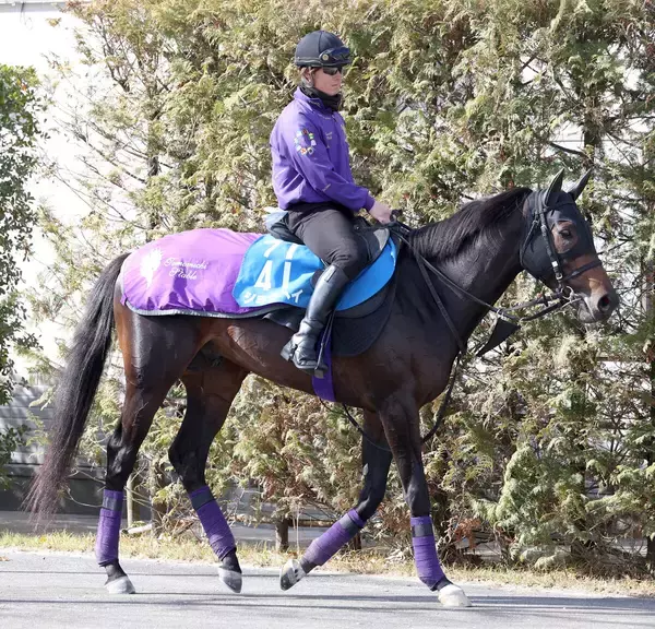 【アメリカＪＣＣ】昨年の日本ダービー３着馬ショウヘイは軽快に最終調整　友道調教師「体がしっかりしてきた」
