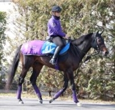 【アメリカＪＣＣ】昨年の日本ダービー３着馬ショウヘイは軽快に最終調整　友道調教師「体がしっかりしてきた」