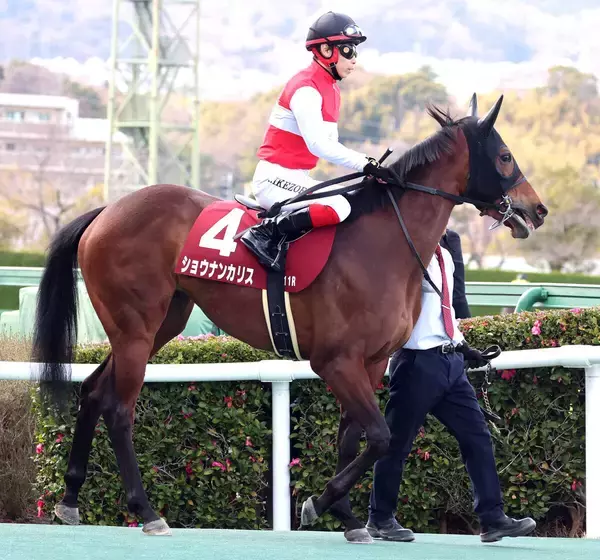 【報知杯ＦＲ】１番人気ショウナンカリスは８着　「スムーズにさばけませんでした」池添謙一騎手は２年連続Ｖならず