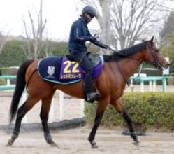 【高松宮記念】切れ者レッドモンレーヴが一発を狙う　中京到着の陣営「仕上がりは万全で言うことないです」