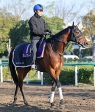 【皐月賞】繰り上がりで出走可能となったサノノグレーター　得意舞台で激走を狙う　尾形調教師「順調です」