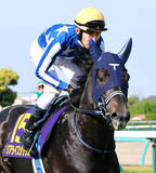 「皐月賞２着に「あー、くそっ！」津村明秀騎手のジョッキーカメラが公開　リアライズシリウスの愛称は「シリ」だった」の画像1