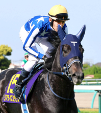 皐月賞２着に「あー、くそっ！」津村明秀騎手のジョッキーカメラが公開　リアライズシリウスの愛称は「シリ」だった