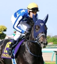 皐月賞２着に「あー、くそっ！」津村明秀騎手のジョッキーカメラが公開　リアライズシリウスの愛称は「シリ」だった