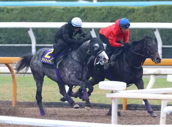 【天皇賞・春・１週前】武豊騎手とＧ１初制覇狙うアドマイヤテラはしっかり負荷　友道調教師「春はここが最大目標」