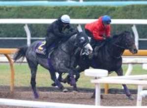 【天皇賞・春・１週前】武豊騎手とＧ１初制覇狙うアドマイヤテラはしっかり負荷　友道調教師「春はここが最大目標」