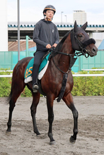 【札幌２歳Ｓ】初戦コースレコードＶのショウナンガレオン　フライトライン産駒の“大物候補”が重賞初Ｖへ