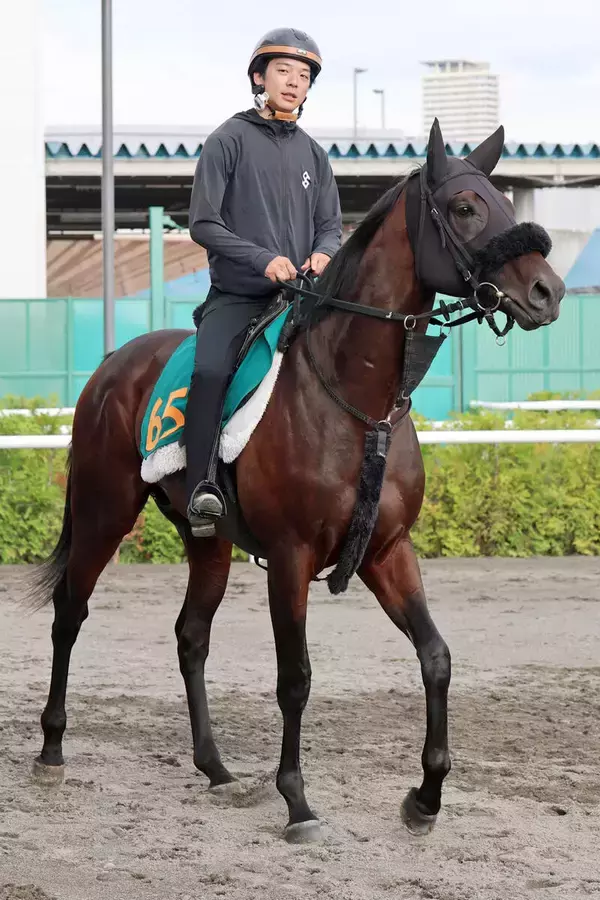 【札幌２歳Ｓ】初戦コースレコードＶのショウナンガレオン　フライトライン産駒の“大物候補”が重賞初Ｖへ