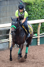 【京成杯ＡＨ】サマーマイルシリーズは２頭が優勝権利持ちの杉山晴厩舎　関屋記念２着クランフォードは「状態いいですよ」