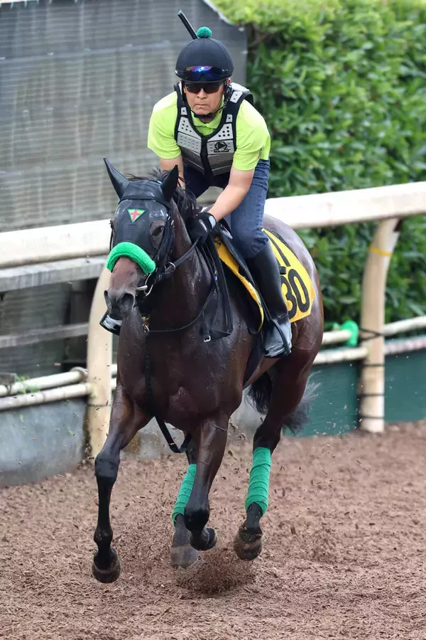 【京成杯ＡＨ】サマーマイルシリーズは２頭が優勝権利持ちの杉山晴厩舎　関屋記念２着クランフォードは「状態いいですよ」