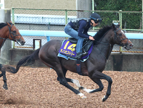 「単勝安い…」「売れすぎじゃね？」菊花賞前売り２番人気に支持された上がり馬にＳＮＳ注目　ダノンヒストリーが４・１倍