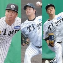 【阪神】開幕Ｇ倒ローテ見えた！　村上頌樹、高橋遥人、大竹耕太郎でスタートダッシュへ