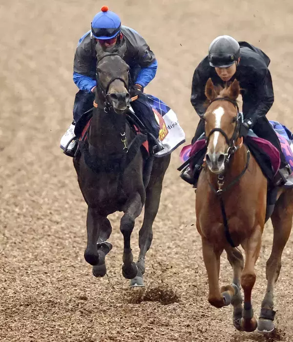 「【桜花賞・１週前】ルールザウェイヴは折り合いに進境　原優介騎手「落ち着いています」」の画像