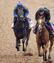 【桜花賞・１週前】ルールザウェイヴは折り合いに進境　原優介騎手「落ち着いています」