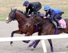 【皐月賞】３週続けて手綱執った坂井瑠星騎手「道中と勝負どころの反応は良かった」アドマイヤクワッズ王道の仕上げで準備整った