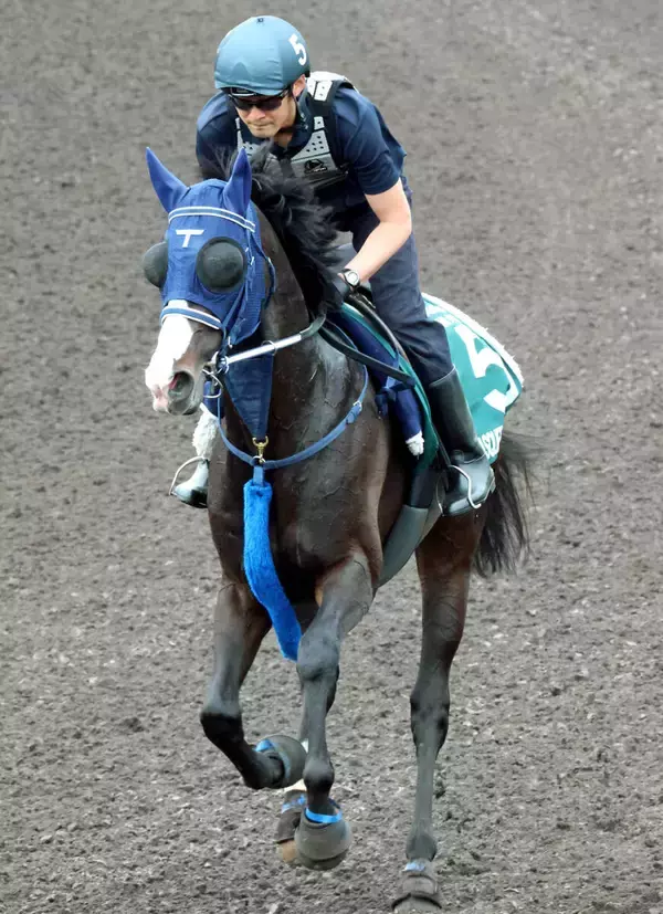 【香港・ＱＥ２世Ｃ】週中の雨の影響は？手塚久調教師が自ら歩いて芝コースを確認　これまで８戦良馬場のマスカレードボール