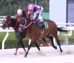 【園田競馬】ＪＲＡ８戦未勝利のワンダーブリングが地方移籍で覚醒！　１０連勝を達成し下原理騎手「負けたら何と言われたことか…」