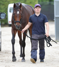 【日本ダービー】バステールは距離延長を歓迎　陣営「２４００メートルの方がレースはしやすい」