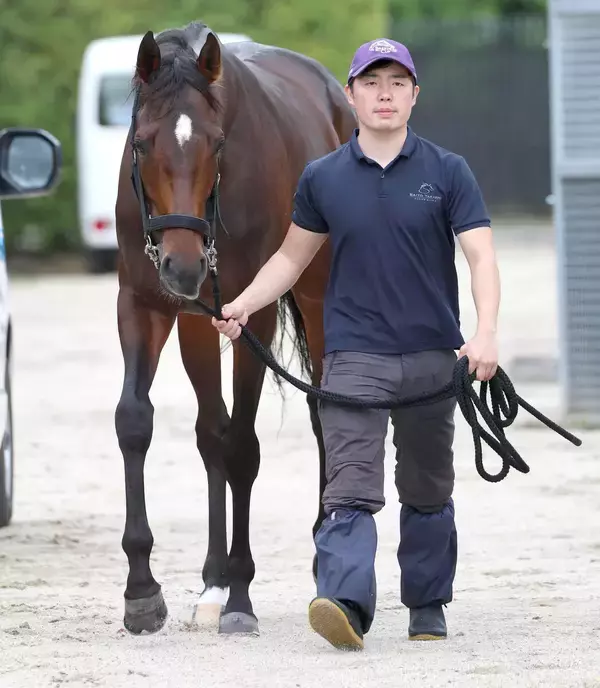 【日本ダービー】バステールは距離延長を歓迎　陣営「２４００メートルの方がレースはしやすい」