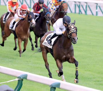 大波乱の新潟名物は珍しい内枠決着！「やっぱ千直天才」「なんで内枠の馬で」１３番人気で３着激走の鞍上に称賛の嵐