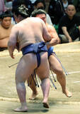「藤ノ川「いろいろなものが懸かっていた」千秋楽に勝ち越し、初の殊勲賞　来場所の新三役もほぼ確実に」の画像1
