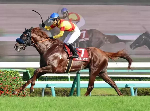 【注目馬動向】セントライト記念を制したジャスティンシカゴは引き続き原優介騎手で菊花賞へ