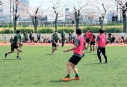 東京・台東区ラグビーフットボール協会主催「台東区ラグビーフェスタ２０２４」開催！ライオンファングス選手が小学生らと“タグラグビー交流試合”も