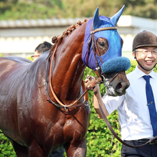 【阪神ＪＦ・イシゴーの特注馬】センスの高さは疑う余地がないアルバンヌ　２度目の栗東滞在で万全期す