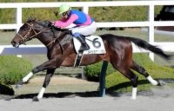 【阪神６Ｒ・２歳新馬】メイショウリュウシが逃げ切って快勝　岩田康誠騎手「物見をするくらい余裕がありました」