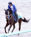 「【兵庫ゴールドトロフィー】「メリークリスマース！！」坂井瑠星騎手に黄色い声援　ハッピーマンが重賞２勝目をマーク」の画像1