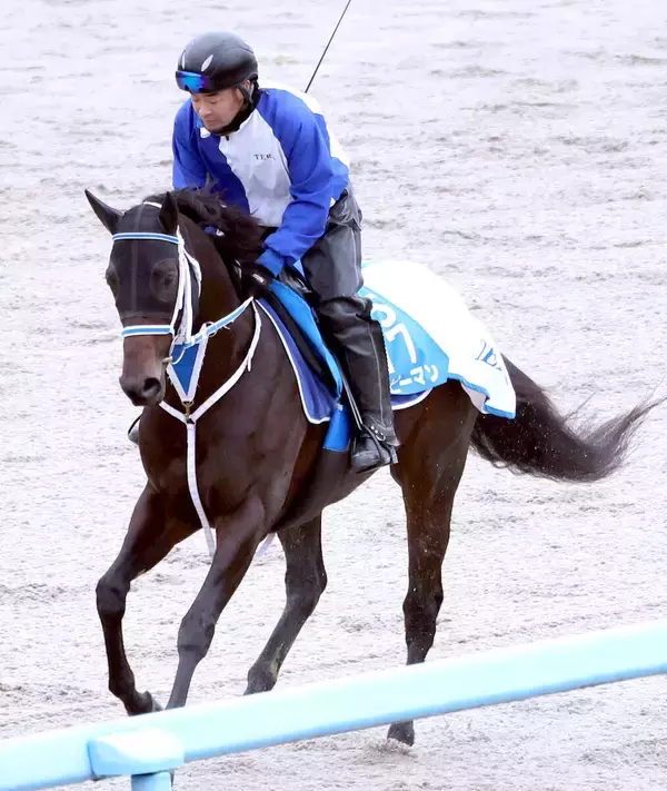 【兵庫ゴールドトロフィー】「メリークリスマース！！」坂井瑠星騎手に黄色い声援　ハッピーマンが重賞２勝目をマーク