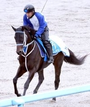 【兵庫ゴールドトロフィー】「メリークリスマース！！」坂井瑠星騎手に黄色い声援　ハッピーマンが重賞２勝目をマーク