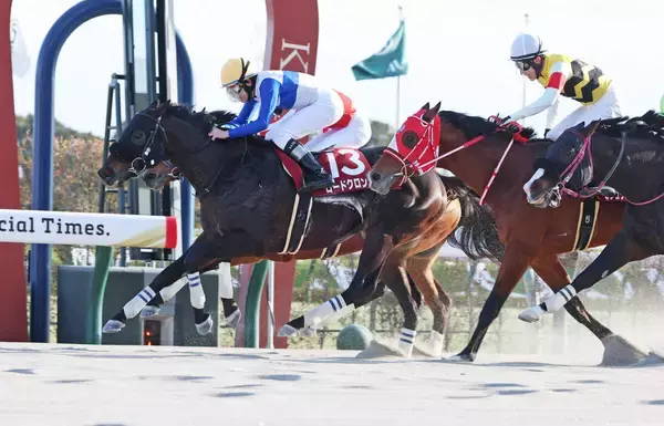 【プロキオンＳ】「勝ち切ったことに意味」ロードクロンヌが差し切って首差で初タイトル　横山和生騎手と惜敗続きに終止符