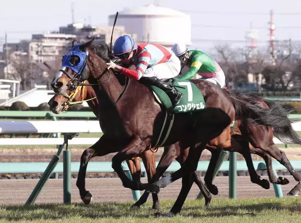 ２４年の中山牝馬Ｓを勝ったコンクシェルが競走馬登録を抹消　今後はノースヒルズで繁殖牝馬に