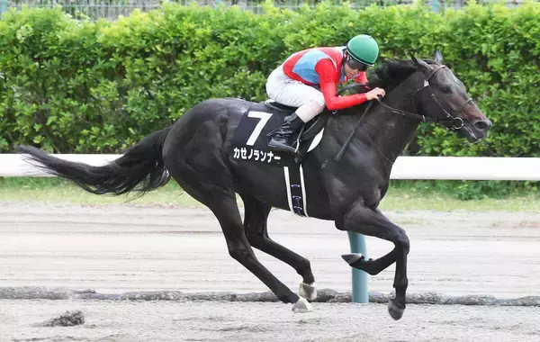 【川崎記念】「得意の左回りに戻る」カゼノランナーは重賞初制覇の勢いでＪｐｎ１初挑戦Ⅴを狙う