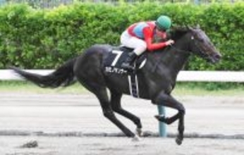 【川崎記念】「得意の左回りに戻る」カゼノランナーは重賞初制覇の勢いでＪｐｎ１初挑戦Ⅴを狙う