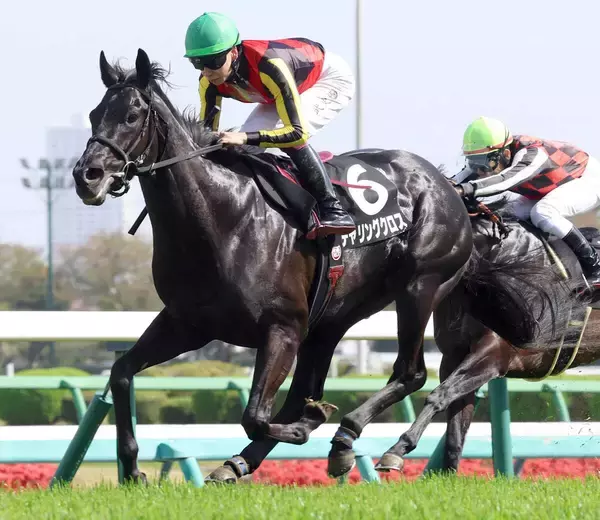 【山藤賞】「すごくいい背中」横山武史騎手も絶賛！鮮やかに差し切った良血馬チャリングクロスが２勝目