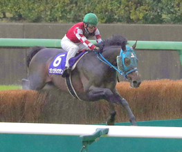 史上最多ＪＧ１・９勝のオジュウチョウサンが３９頭目の顕彰馬選出　石神深一元騎手「本当に人の心を動かす馬」