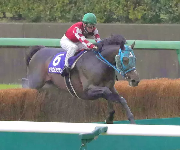 史上最多ＪＧ１・９勝のオジュウチョウサンが３９頭目の顕彰馬選出　石神深一元騎手「本当に人の心を動かす馬」