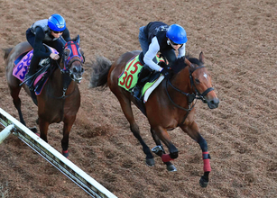 【新潟２歳Ｓ】森一調教師が大絶賛のシャンデヴァーグ　「すごくバネがあってフットワークが大きい」