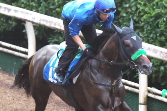 【チャレンジＣ】ジョバンニは楽な手応えで登坂　杉山晴調教師「なんとか重賞ホースの仲間入りを」
