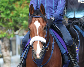 【注目馬動向】昨年の朝日杯ＦＳ勝ち馬カヴァレリッツォが復帰戦の富士Ｓへ初時計　エンネは坂井瑠星騎手で秋華賞へ