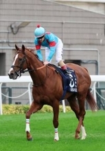 【香港ヴァーズ】３コーナー手前で先頭もアーバンシックは直線で沈む　２２年以来の日本勢勝利に届かず　