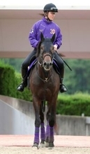 【注目馬動向】競馬でもショウヘイが海を渡る？　復帰戦は川田将雅騎手でアメリカＪＣＣに決定　春の大目標は国内外の２択
