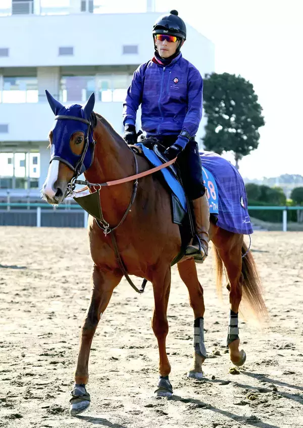 【東京大賞典】単勝１・４倍がまさか…　ミッキーファイトはゴール前でⅤ逃す２着　ルメール騎手は距離に言及