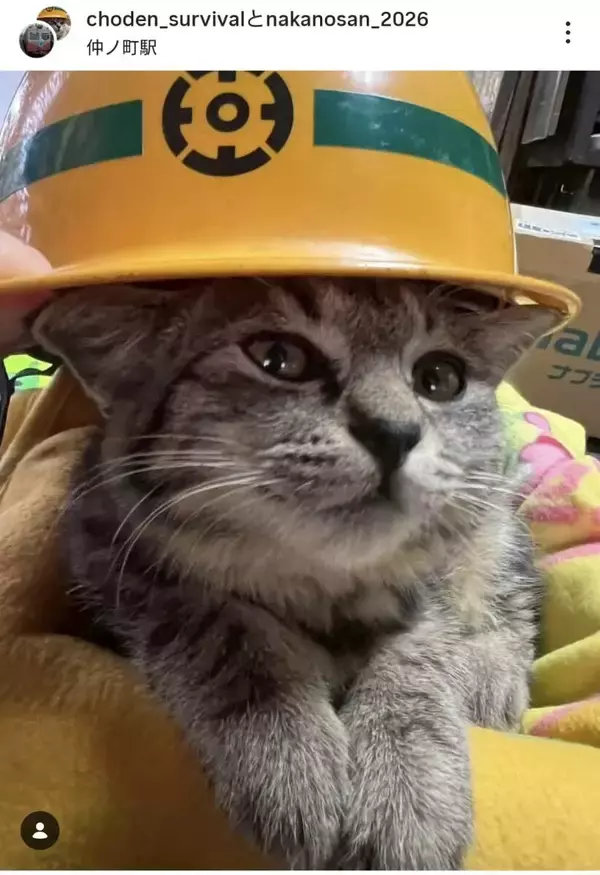 “新入社員”猫の「なかのさん（仮）」が１０日に初出勤　銚子電鉄・仲ノ町駅で「電車のお見送りを担当します」